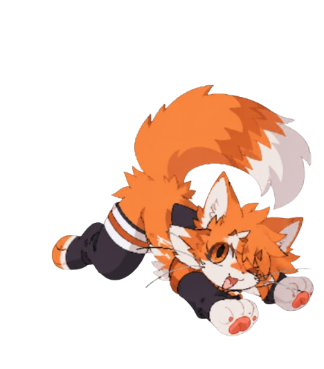 Anasayfa