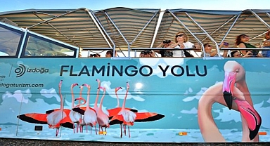 Doğaseverler Flamingo Festivali’nde buluşacak