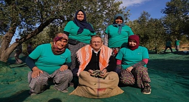 İlk Hasat Başkan Mesut Ergin’den