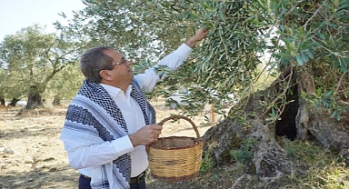 Dünya Zeytin Ağacı Günü Kutlu Olsun