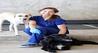 İzmir’de sahiplenilen hayvanlar ücretsiz kısırlaştırılacak