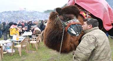 Deve Güreşleri Festivali Heyecanı Başlıyor