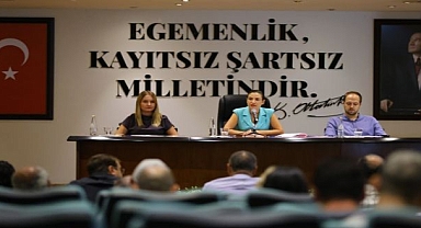 Ruhsat yetkisi bakanlıkta