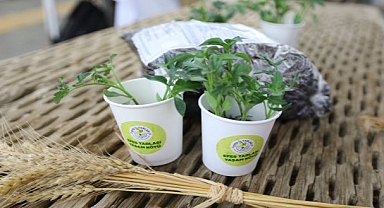 Efes Selçuk Yerel Tohumlarını Tüm Türkiye ile Paylaşıyor