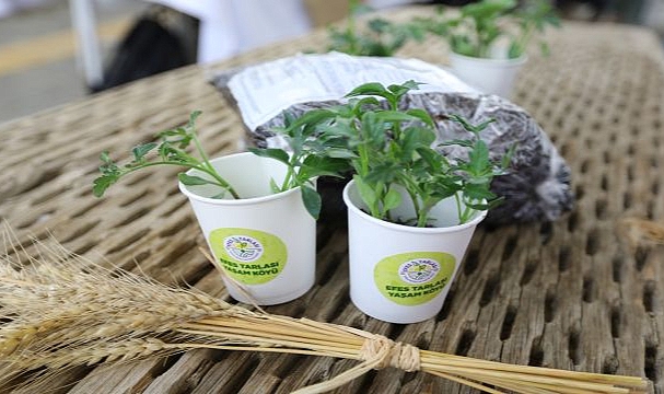 Efes Selçuk Yerel Tohumlarını Tüm Türkiye ile Paylaşıyor