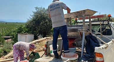 Efes selçuk’ta salçalar ailece hazırlanıyor, belediye makine ile destek oluyor