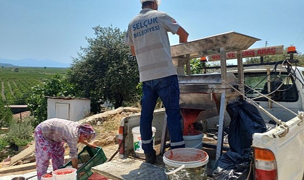 Efes selçuk’ta salçalar ailece hazırlanıyor, belediye makine ile destek oluyor